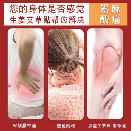 南京同仁堂艾草贴膝盖贴 肩颈热敷颈椎贴颈椎疼痛艾灸生姜贴 商品图5