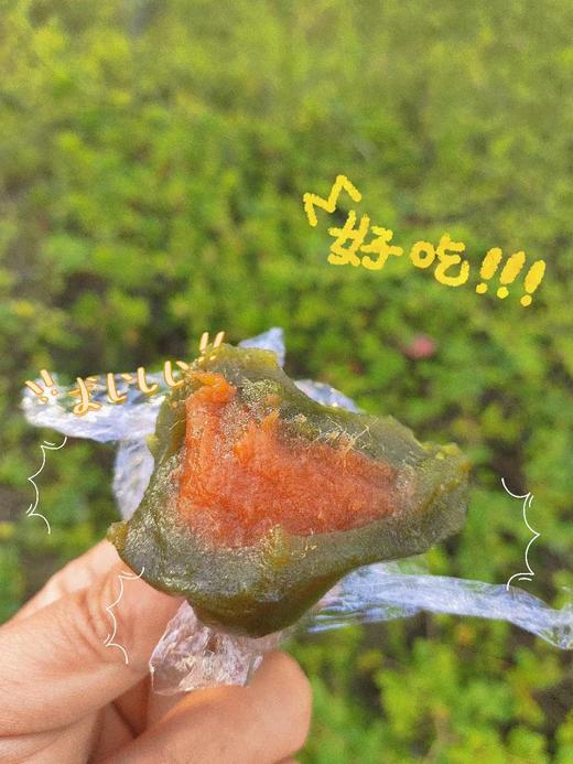 12月新货 | 网红青团（春天的气息 创新馅料) 100克/袋 60袋/箱 保质期45天 商品图13