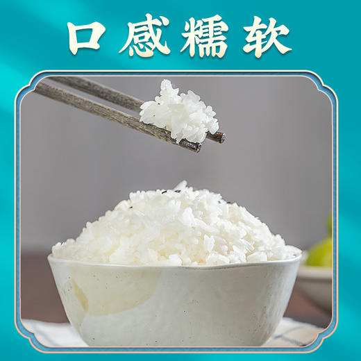 袁谷农场隆平芯米五常凝玉香5kg东北五常大米粳米共10斤真空装25年新米 商品图2