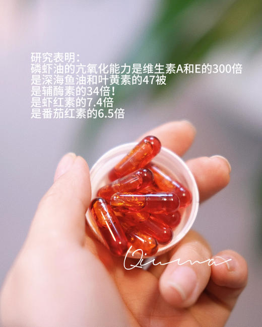 法国Dynveo南极磷虾油omega3虾青素鱼油胶囊呵护心xue管健康EPA 商品图2