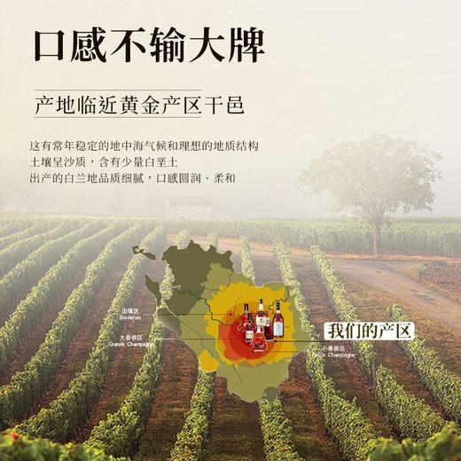 法国进口法尼珍露·蓝轩1875白兰地XO单支礼盒洋酒40%vol 商品图2