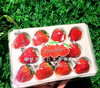 【口感香浓】红颜巧克力草莓🍓（11-15枚/盒大果） 商品缩略图2
