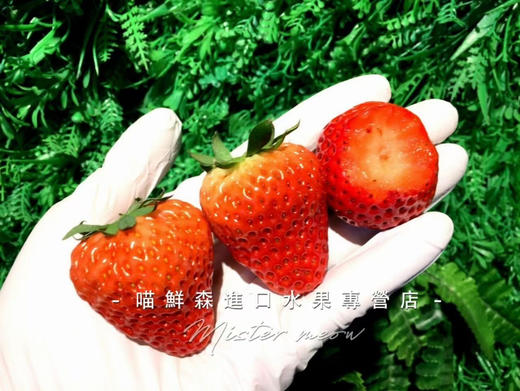 【口感香浓】红颜巧克力草莓🍓（11-15枚/盒大果） 商品图3
