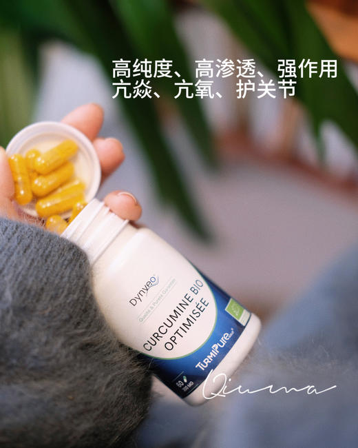 护关节｜法国Dynveo姜黄素粉胶囊高含量有机肝脏C3非黑胡椒 商品图2