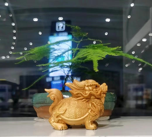 精雕龙龟°黄杨木小摆件 商品图1