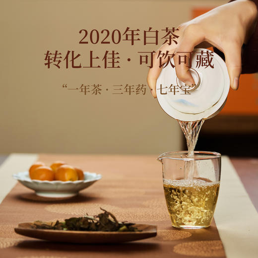 过年就送状元白茶，好意头！来自核心产区太姥山，中国制茶大师亲制，限时拍2发3！ 商品图7