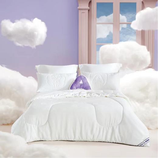 【6F】罗莱儿童 小睡神提花天丝?莫代尔桑蚕丝冬被 商品图0