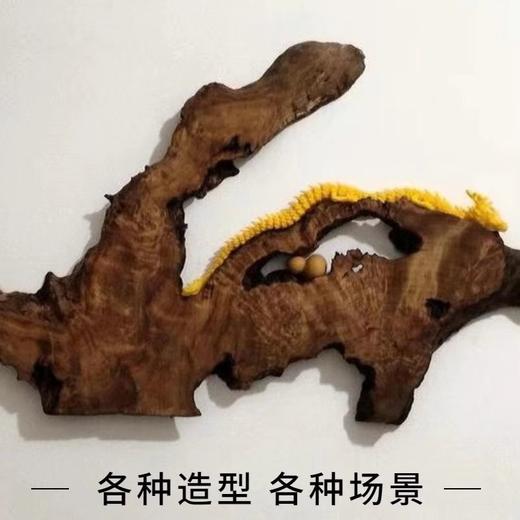 中国龙创意摆件鱼缸造景汽车装饰3d打印创意手办儿童玩具关节活动 商品图8