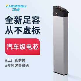 zb/正步 锂电池H3专用山地车电池 大容量可拆卸锂电池便携新能源