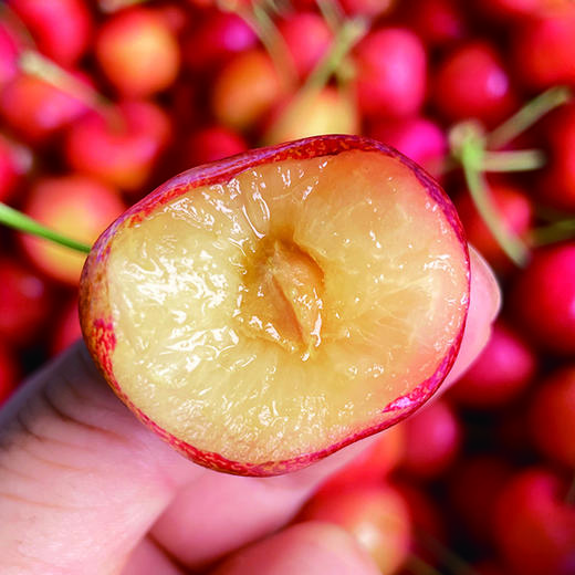 2J进口金车厘子5kg 商品图3