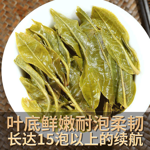 2024春茶-古500系列-凤凰窝古树普洱生茶饼357克/饼 前100名买7送1 商品图4