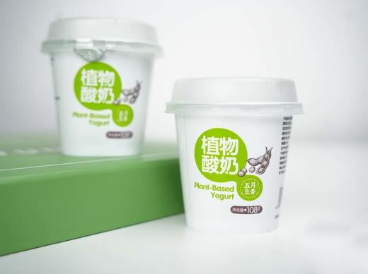 植物酸奶（108g*12） 商品图0