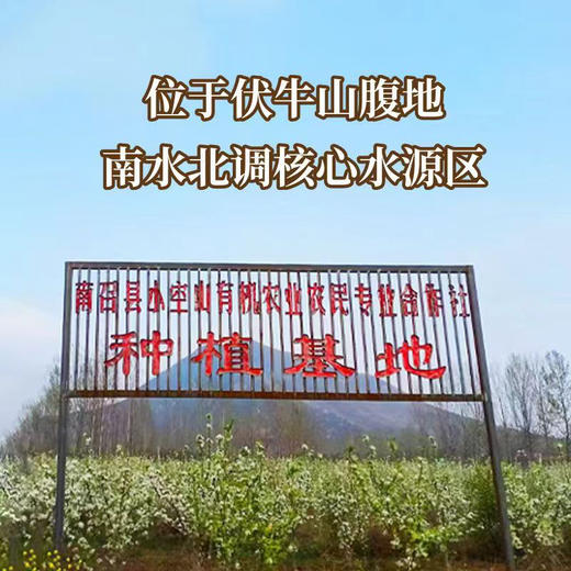 小空山秋梨膏 258g/瓶 小空山有机黄金梨为原料熬制  商品图2