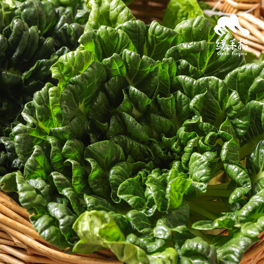 生态乌塌菜 | 绿家自产 * Eco-choy sum | Self-production 商品图1