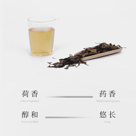 【观山社】十年陈福鼎老寿眉50g 商品图2