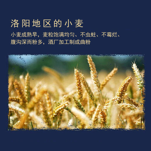 【浓香型】杜康经典盛世中国红5L 60度 商品图3