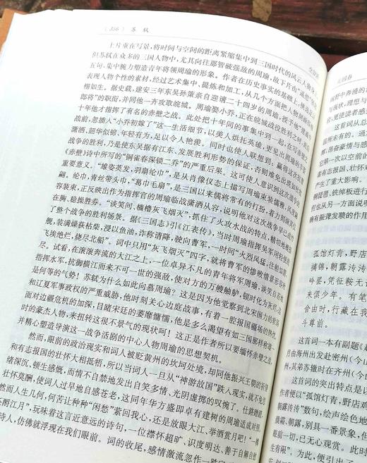 《唐诗宋词鉴赏辞典》，精装，全10册，程千帆、夏承焘等著，上海辞书出版社2017年版，4200多页，定价416，售价179元。 商品图8