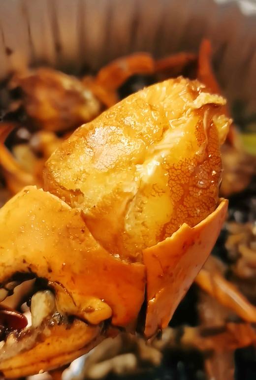 【1.5斤超大号印尼蟹】1只 商品图1