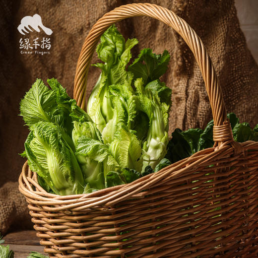 生态儿菜（抱子芥） | 绿家自产 * Eco-children food | Self-production 商品图1