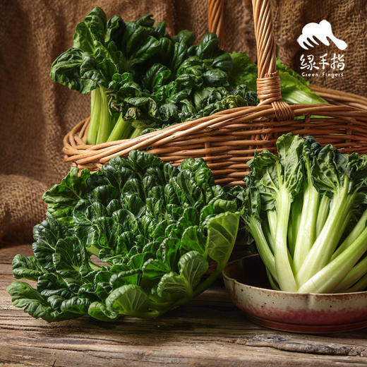 生态黄心乌 | 绿家自产 * Eco-choy sum | Self-production 商品图0