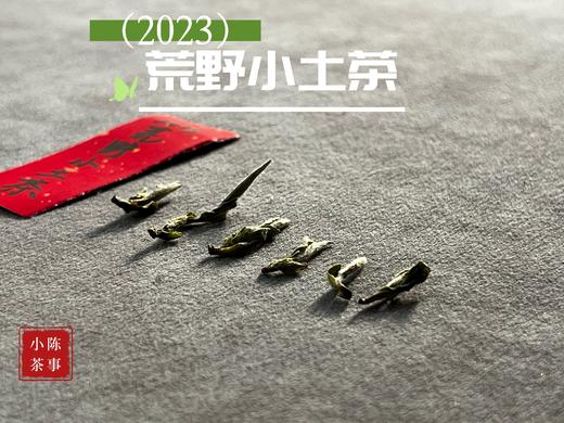 【全年只有10斤】2023荒野小土茶，太姥山传承千年的“土”味情话，鲜嫩感远超白毫银针 商品图2