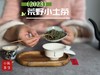 【全年只有10斤】2023荒野小土茶，太姥山传承千年的“土”味情话，鲜嫩感远超白毫银针 商品缩略图4