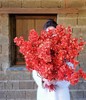 年宵花金玉满堂绣球/枝 商品缩略图1