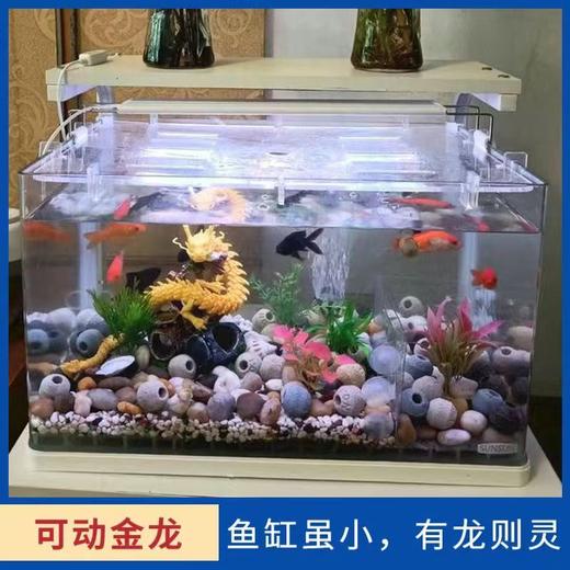 中国龙创意摆件鱼缸造景汽车装饰3d打印创意手办儿童玩具关节活动 商品图7