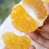 糖嫣柚，有粑粑柑的香气，有红美人的甜蜜，有果冻橙的汁水，有土豪柚的爽脆，还有西柚的去火功能！超好吃！ 商品缩略图1