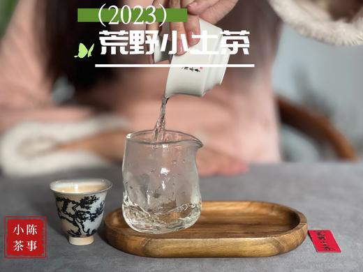 【全年只有10斤】2023荒野小土茶，太姥山传承千年的“土”味情话，鲜嫩感远超白毫银针 商品图7