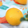 糖嫣柚，有粑粑柑的香气，有红美人的甜蜜，有果冻橙的汁水，有土豪柚的爽脆，还有西柚的去火功能！超好吃！ 商品缩略图3