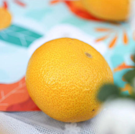 糖嫣柚，有粑粑柑的香气，有红美人的甜蜜，有果冻橙的汁水，有土豪柚的爽脆，还有西柚的去火功能！超好吃！ 商品图3