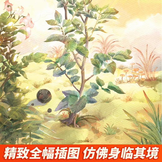 快乐读书吧4年级下册:《看看我们的地球》《灰尘的旅行》《人类起源的演化过程——爷爷的爷爷哪里来》《米·伊林十万个为什么》(全4册) 商品图4