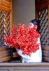 年宵花金玉满堂绣球/枝 商品缩略图2