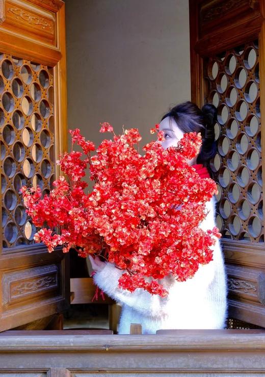 年宵花金玉满堂绣球/枝 商品图2