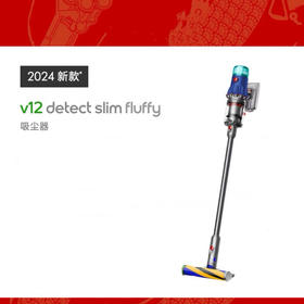 1楼戴森无绳吸尘器 V12 DT Slim Fluffy（蓝色）2024新款