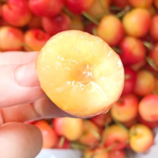 2J进口金车厘子 500g/份 商品图2