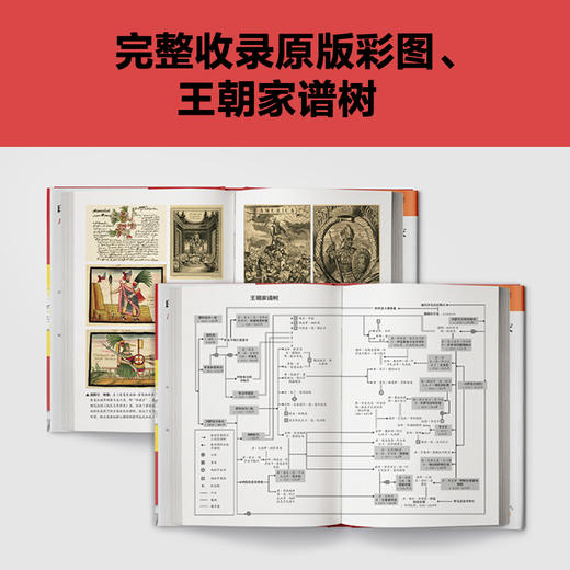 读客印第安帝国的覆灭 马修·雷斯托尔 西班牙征服美洲 世界史 商品图4