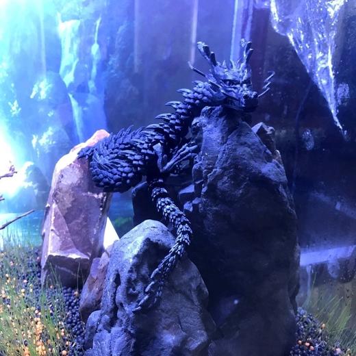 中国龙创意摆件鱼缸造景汽车装饰3d打印创意手办儿童玩具关节活动 商品图4