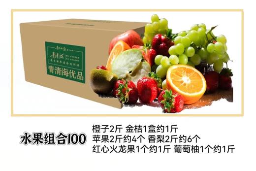 水果组合100 商品图0