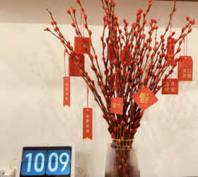 🧨【新年年宵银柳】壁挂点点红光，富贵到家❗️好运加持💯 银柳到家，银两到家🏠接福纳福，辞旧迎新过大年🧧银柳-“银留”，“旺财之花”，寓意聚合财气，步步高升。