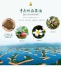 乡村振兴 下姜村 山茶油 500ML*2礼盒 商品缩略图2