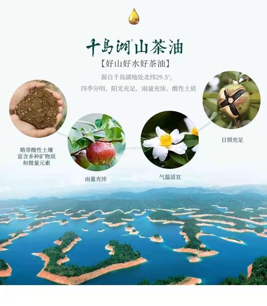 乡村振兴 下姜村 山茶油 500ML*2礼盒 商品图2