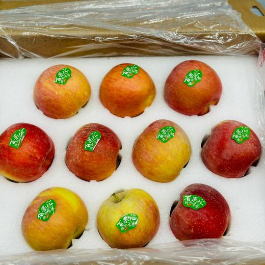新疆阿克苏樱桃苹果🍎 商品图1