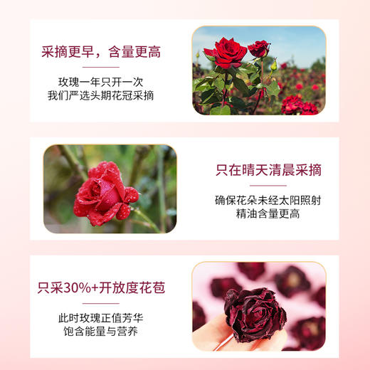 香港宝芝林 墨红玫瑰 冻干锁鲜 口感清甜 90g/罐 商品图2