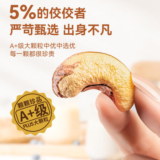 【推荐】海于唱 鲜香酥脆营养美味臻选级紫皮腰果258克罐装 A+级品质大果 优中选优5% 商品图2