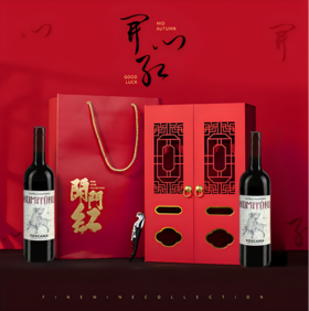 意大利进口红酒 托斯卡纳干红葡萄酒14%vol开门红双支礼盒装750ml*2
