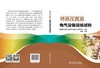 特高压直流电气设备现场试验 商品缩略图2