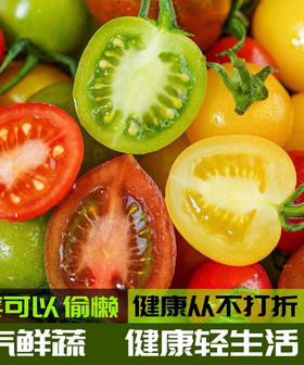 多彩新鲜小番茄西红柿2斤礼盒