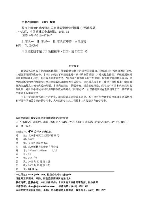 长江中游地区典型无机固废低碳资源化利用技术 商品图1